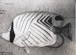 angel fish